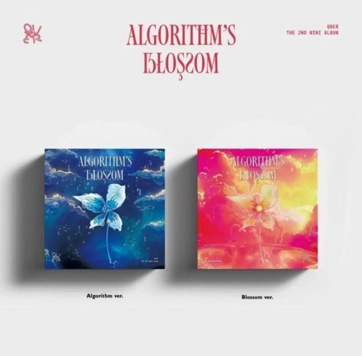 [2종세트]Qwer 미개봉 앨범 판매 Algorithm blossom